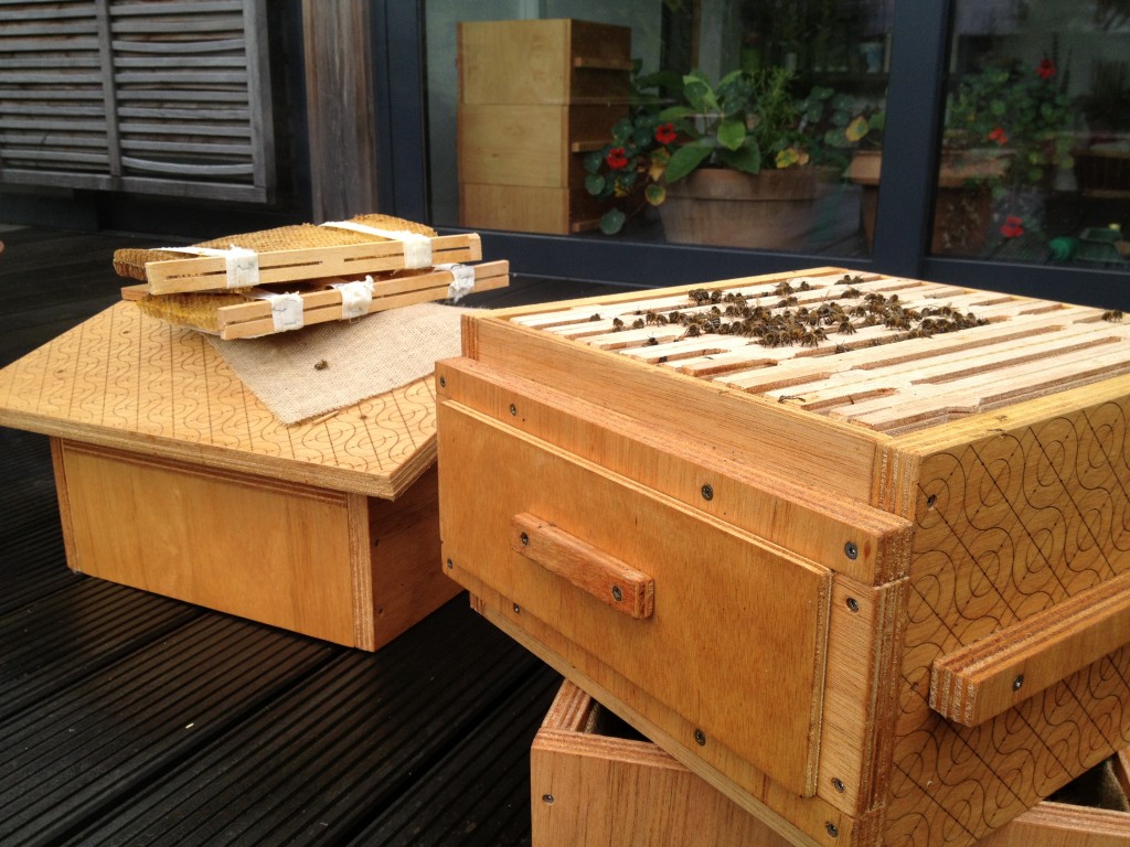 Open Source Beehive outside