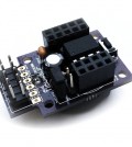The Tinusaur Project