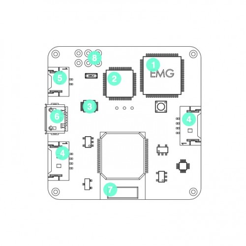 gesto-caelum-wireframe_png_project-body